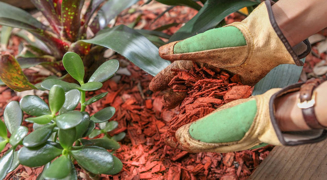 Mulch Supply Sydney - Sam's Tree Services North Shore